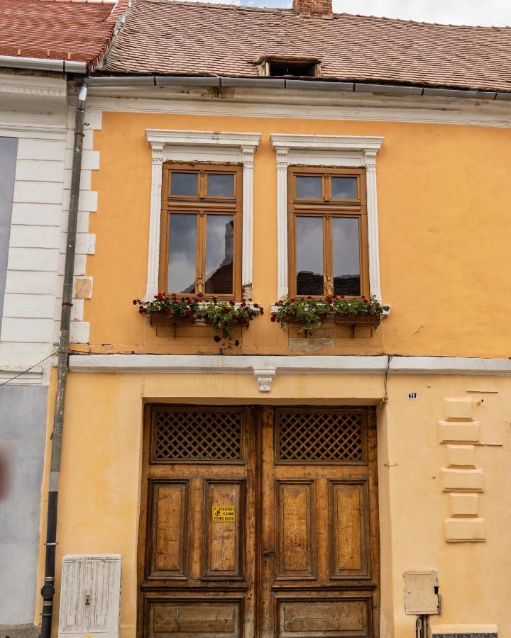 World Studio Sibiu Dış mekan fotoğraf
